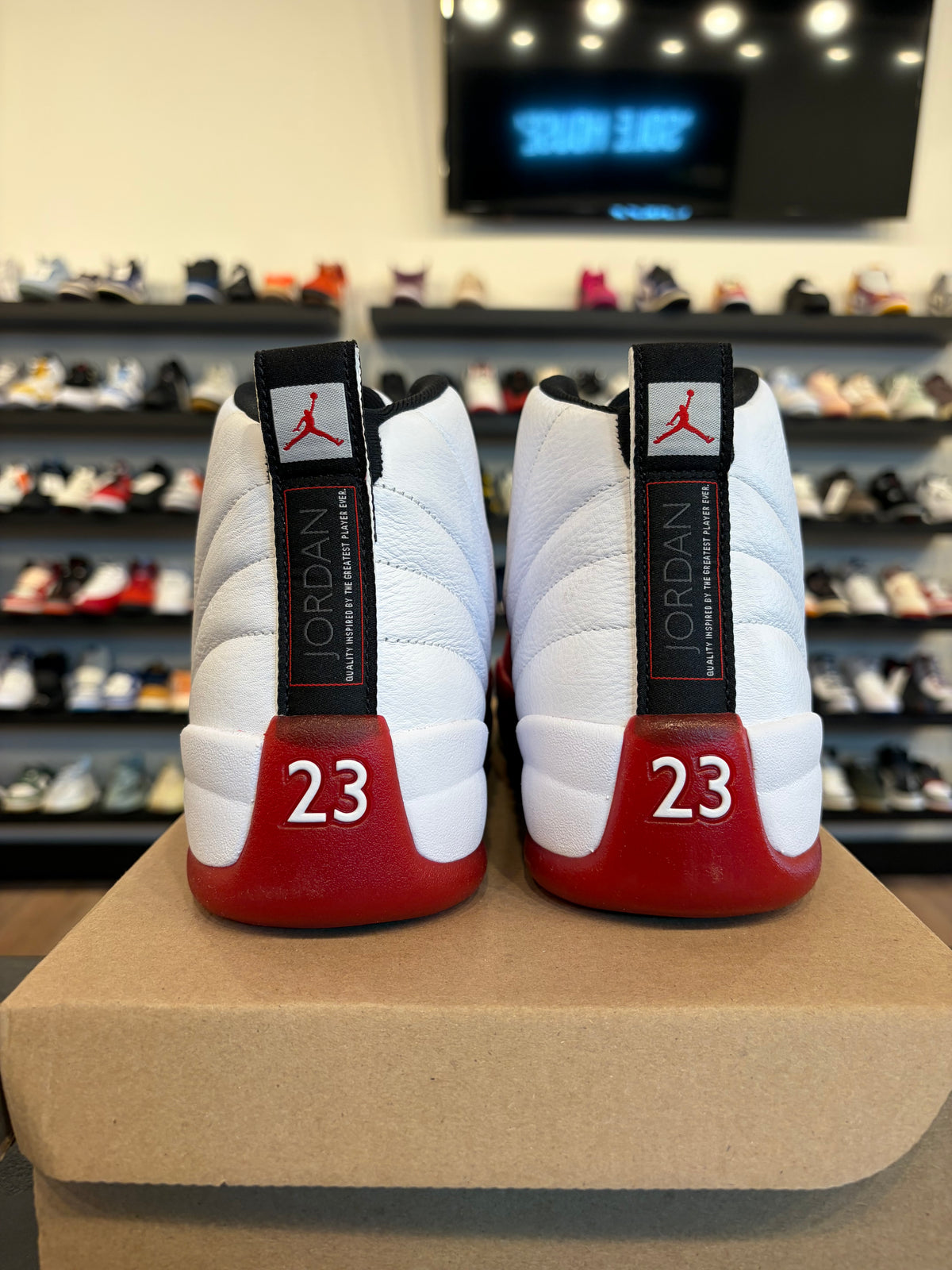 Jordan 12 Cherry 2023 Size 10 Pre-Owned (No Box)
