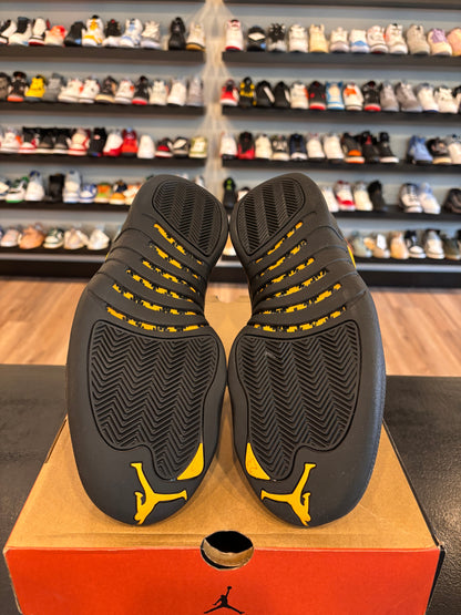 Jordan 12 Black University Gold Size 11 Pre-Owned