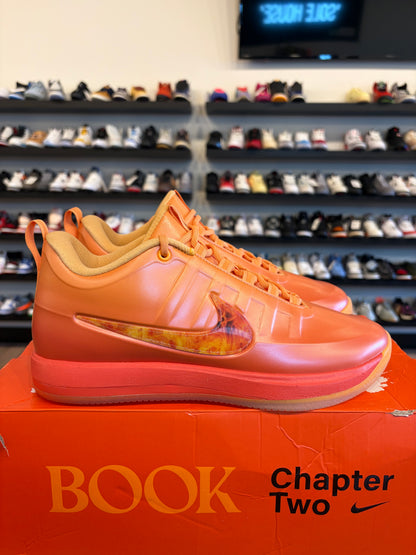 Nike Book 2 Phoenix Size 11 Brand New